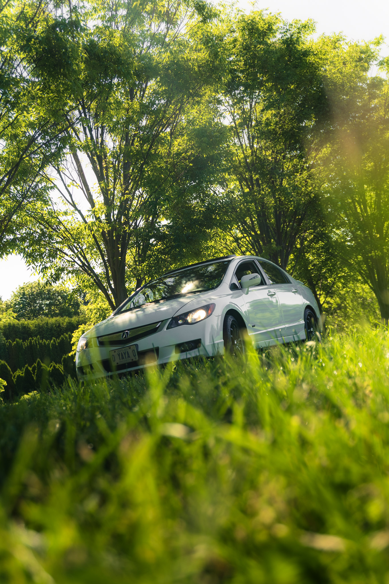 acura csx